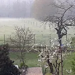 Bedloire 3*