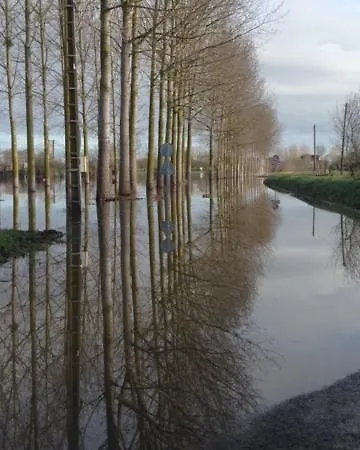 Bedloire Drain