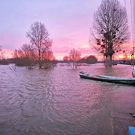 Bedloire Drain