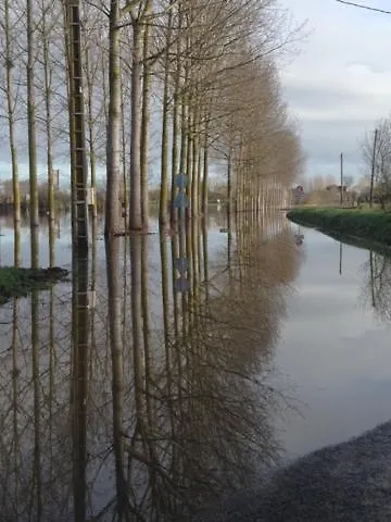 Bedloire Drain